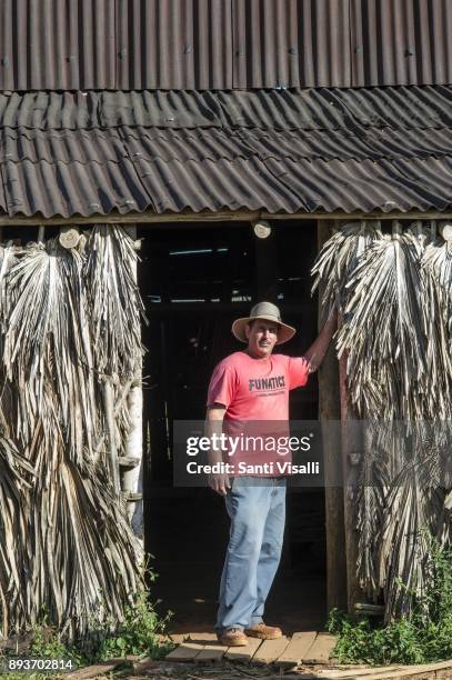 Ivan a tabacco farmer on November8, 2017 in Vinales, Cuba.