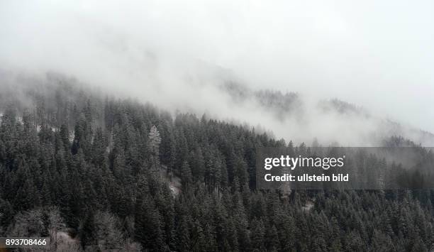 Leicht verschneiter Wald bei Sankt Moritz im Engadin am