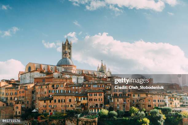 schilderachtig uitzicht op siena uit het oogpunt van - siena italië stockfoto's en -beelden