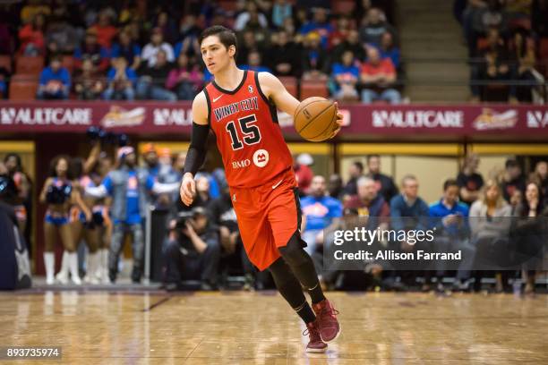 Ryan Arcidiacono of the Windy City Bulls handles the ball against the Canton Charge on December 15, 2017 at the Canton Memorial Civic Center in...