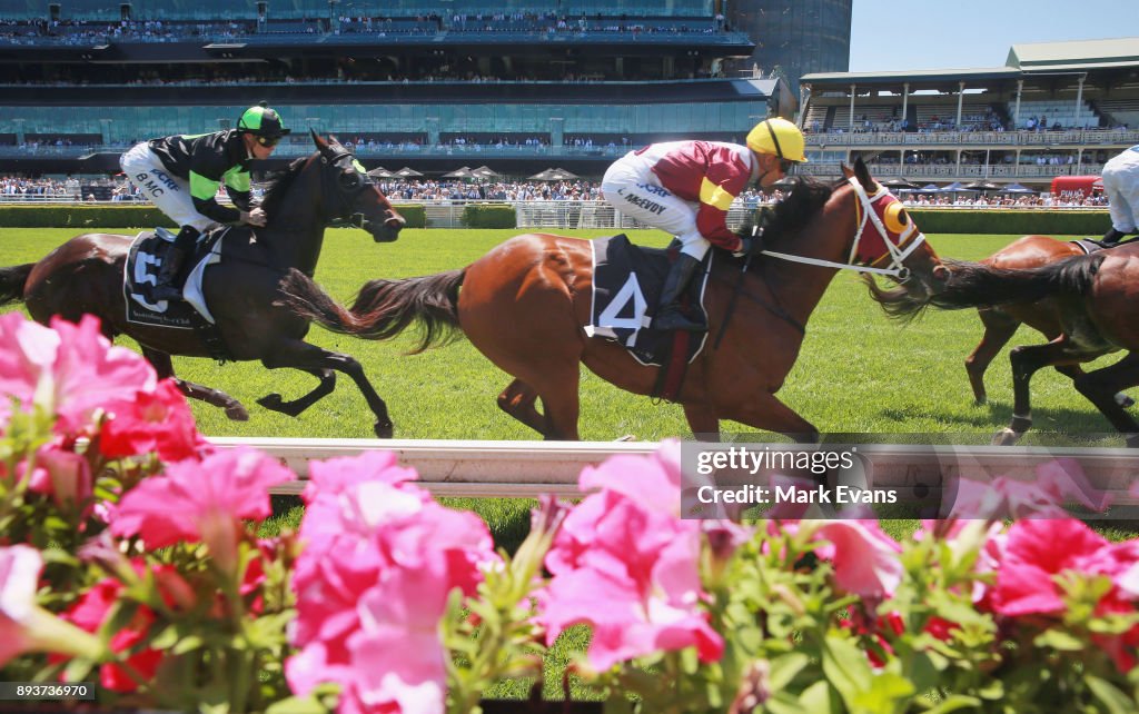 Sydney Racing