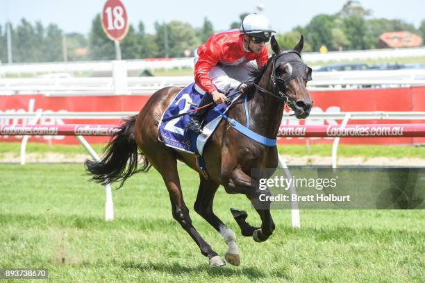 Angelucci ridden by Chris Caserta wins the Sheamus Mills Bloodstock Handicap at Caulfield Racecourse on December 16, 2017 in Caulfield, Australia.