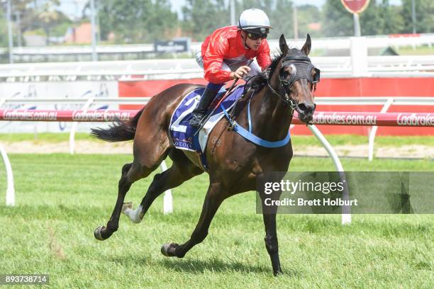 Angelucci ridden by Chris Caserta wins the Sheamus Mills Bloodstock Handicap at Caulfield Racecourse on December 16, 2017 in Caulfield, Australia.