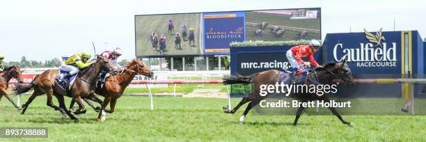 Angelucci ridden by Chris Caserta wins the Sheamus Mills Bloodstock Handicap at Caulfield Racecourse on December 16, 2017 in Caulfield, Australia.