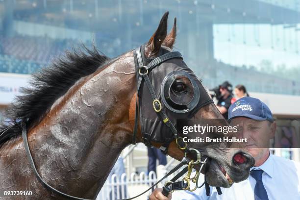 Angelucci after winning the Sheamus Mills Bloodstock Handicap at Caulfield Racecourse on December 16, 2017 in Caulfield, Australia.