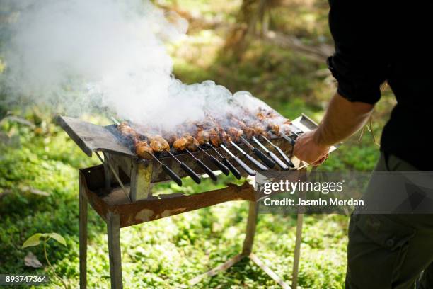 time for barbecue in beautiful garden - bbq chicken stock-fotos und bilder