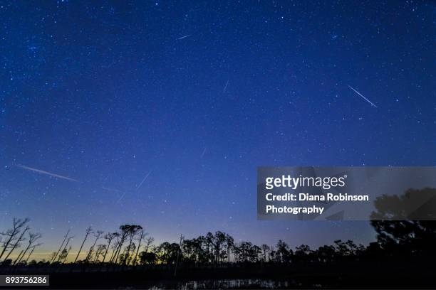 geminid meteor shower around 2 a.m. in babcock wildlife management area, punta gorda, florida - geminid meteor shower 2017 stock pictures, royalty-free photos & images