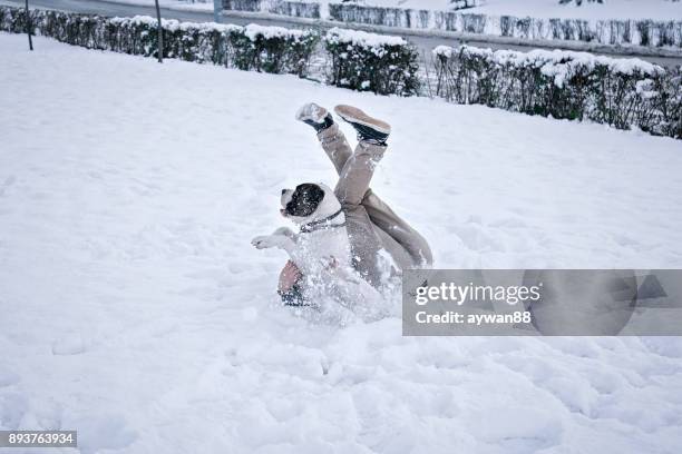 winter joy - american bulldog stock pictures, royalty-free photos & images