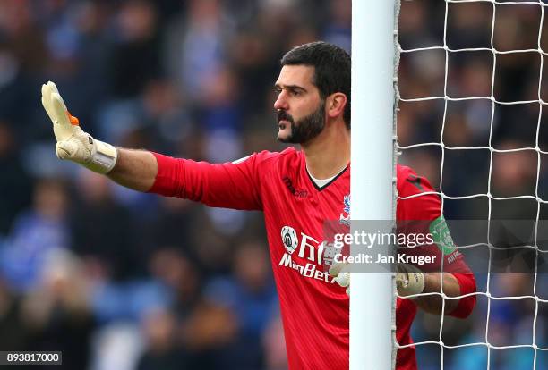 Julian Speroni of Crystal Palace gives his team instructions during the Premier League match between Leicester City and Crystal Palace at The King...