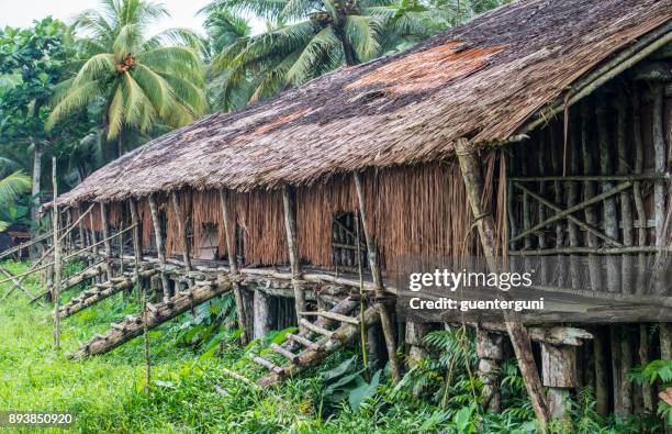 長 asmat 人, 西巴�布亞, newguinea - longhouse 個照片及圖片檔