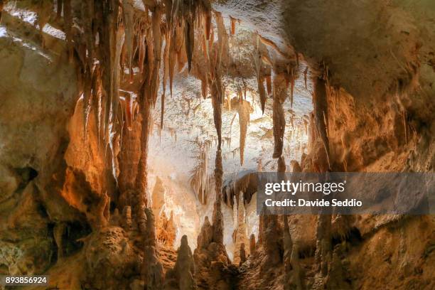 stalactites and stalagmites in the 'grotta del fico' (fig tree cave) - estalactite imagens e fotografias de stock