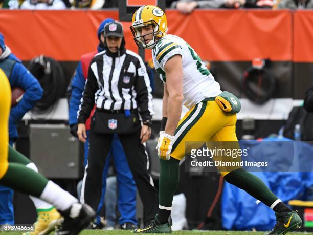 Wide receiver Jordy Nelson of the Green Bay Packers awaits the snap from his position in the first quarter of a game on December 10, 2017 against the...