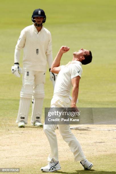 Josh Hazlewood of Australia celebrates after taking a catch off his bowling to dismiss Alistair Cook of England during day four of the Third Test...