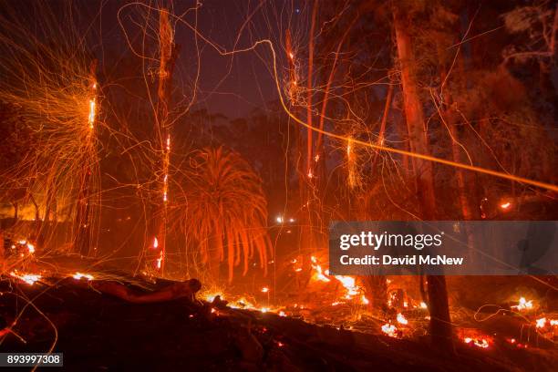 Strong wind blows embers from smoldering trees at the Thomas Fire on December 16, 2017 in Montecito, California. The National Weather Service has...