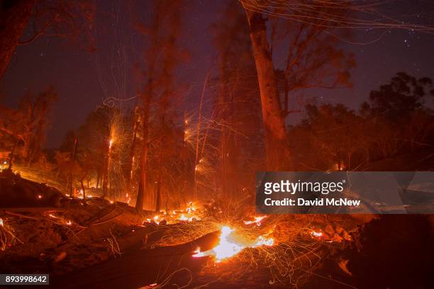Strong wind blows embers from smoldering trees at the Thomas Fire on December 16, 2017 in Montecito, California. The National Weather Service has...