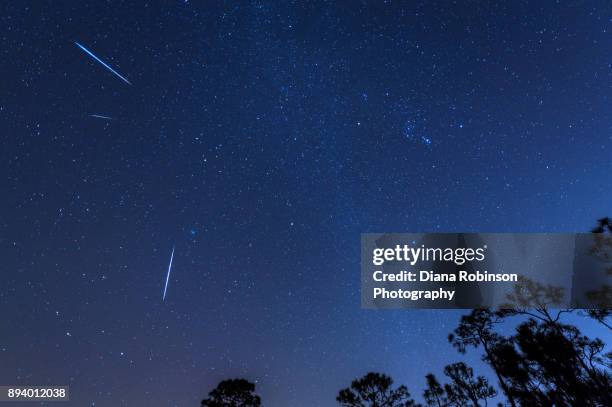 geminid meteor shower around 2 a.m. in babcock wildlife management area, punta gorda, florida - meteor shower stock-fotos und bilder