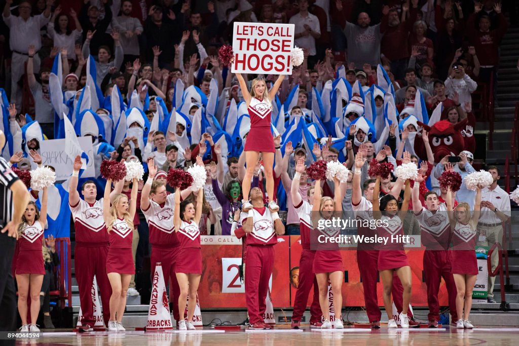 Arkansas Razorbacks Cheer Cheerleaders of the Arkansas Razorbacks performs during a game... News ...