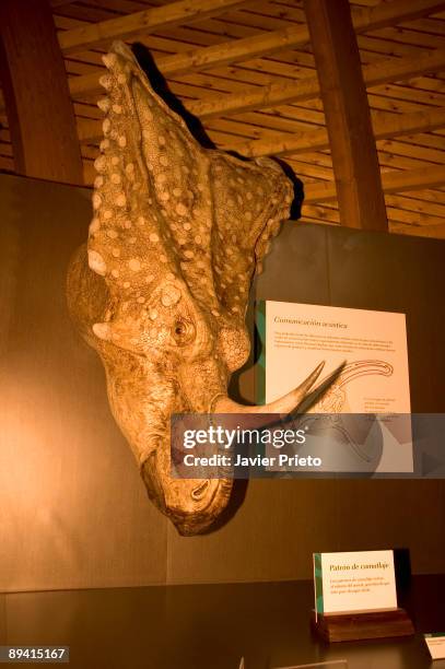 Dinosaur exhibited in one of the rooms of the Jurassic Museum of Asturias. Colunga-Lastres. Asturias.