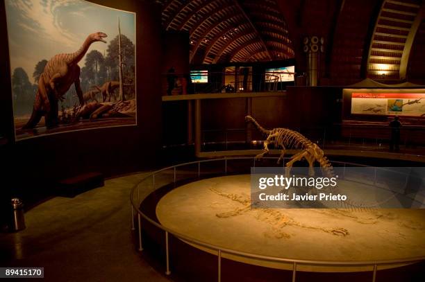 Jurassic Museum of Asturias. Colunga-Lastres. Asturias.