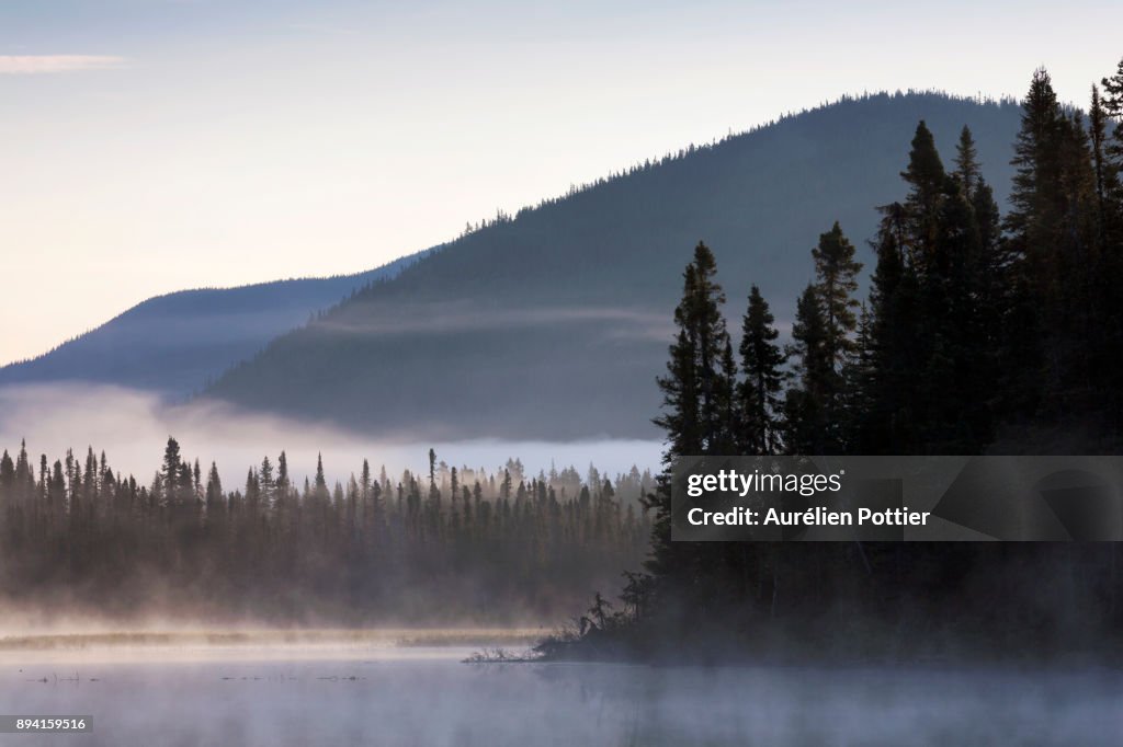 Petit lac Cascapédia, Aube brumeuse