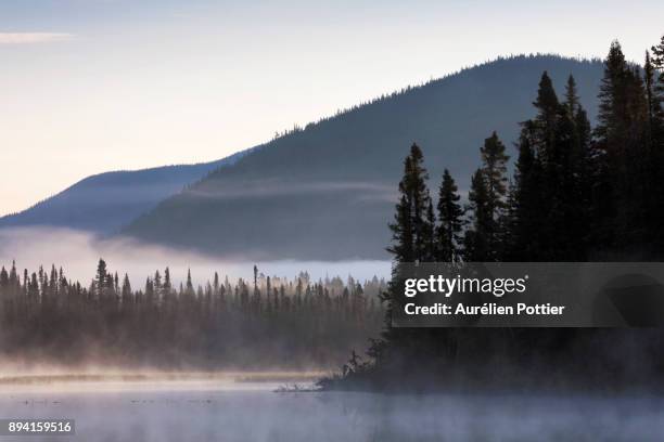 petit lac cascapédia, aube brumeuse - parc national de la gaspésie stock pictures, royalty-free photos & images