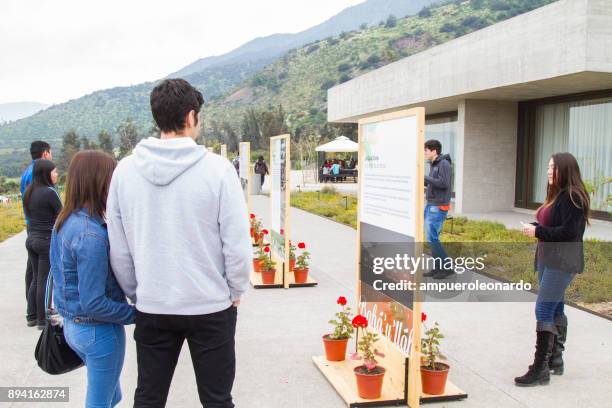 bassai temple at santiago de chile - lotus flower tower stock pictures, royalty-free photos & images