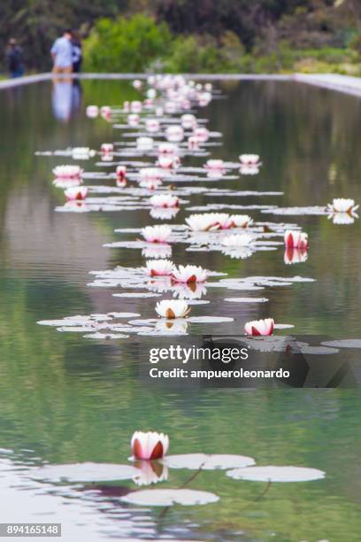 bassai temple at santiago de chile - lotus flower tower stock pictures, royalty-free photos & images