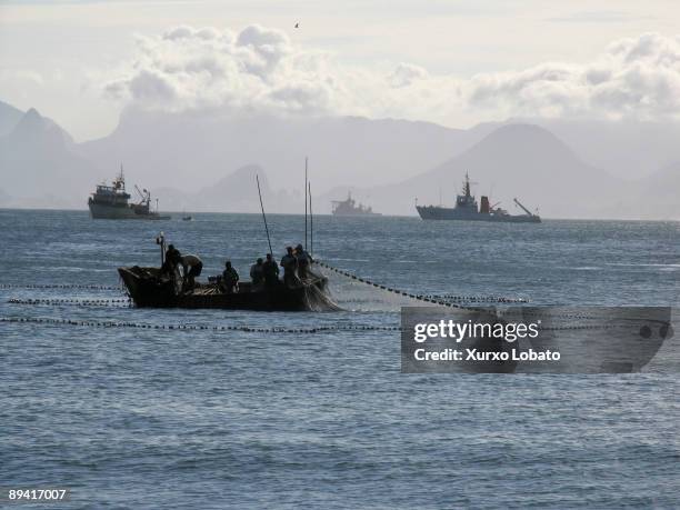 Brazil. NIteori Fishermen .