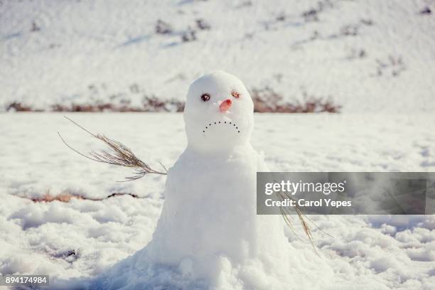 sad snow man - melting snowman stock pictures, royalty-free photos & images