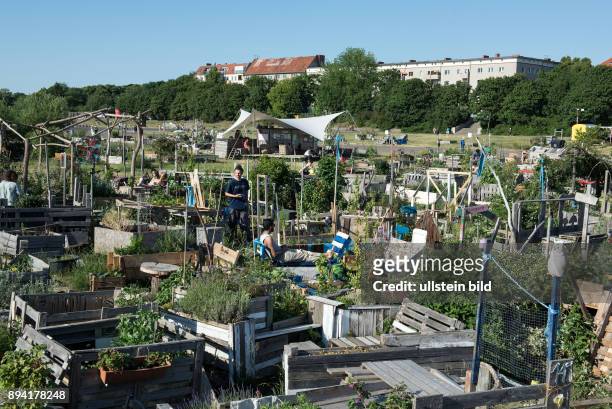 Berlin, , Flughafen Tempelhof, auf dem ehemaligen Tempelhofer Flugfeld bauen Hobbygaertner Blumen, Kraeuter, Gemüse und Obst in grossen Holzkisten...