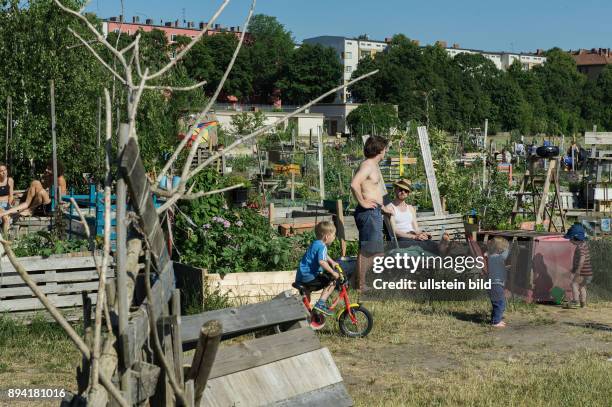 Berlin, , Flughafen Tempelhof, auf dem ehemaligen Tempelhofer Flugfeld bauen Hobbygaertner Blumen, Kraeuter, Gemüse und Obst in grossen Holzkisten...