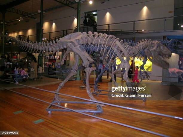 Madrid, Spain. National Museum of Natural History. A skeleton of dinosaur.