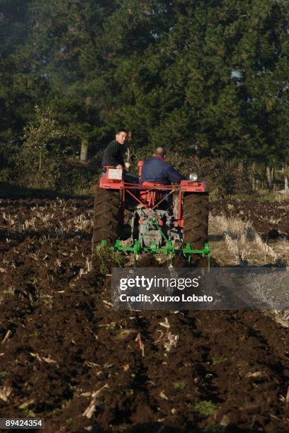 Peasants cultivating the ground with tractor near the river Mino in Outeiro de Rei, Terra Cha, Lugo.