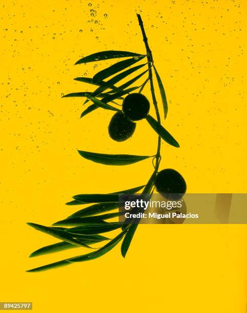 Olives inside olive oil