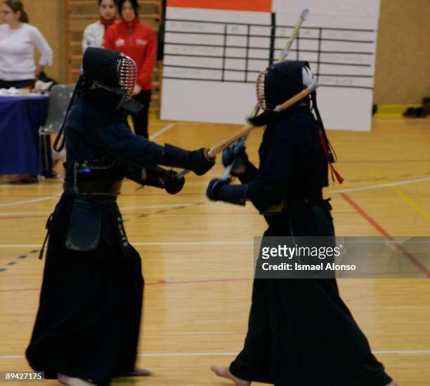 Kendo championship in Madrid