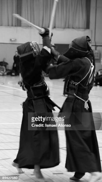Kendo championship in Madrid