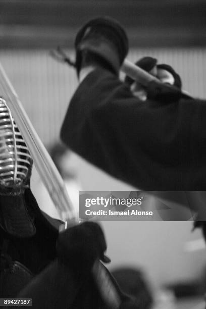 Kendo championship in Madrid