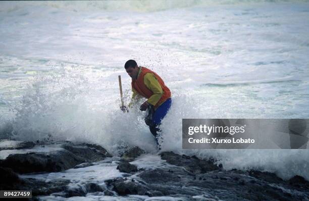 Roncudo, Galicia Suso Lista, percebeiro, hunting barnacles in O Roncudo.