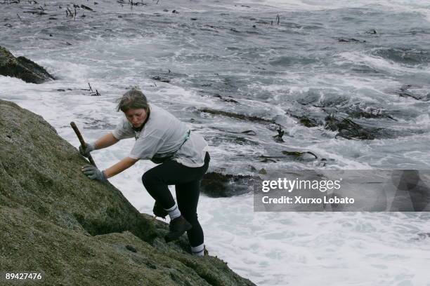 Corme, Galicia Mari Lista, percebeira hunting barnacles in Corme.