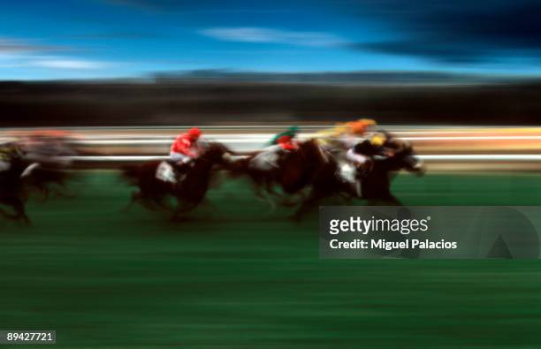 Horse race in Racecourse, Madrid