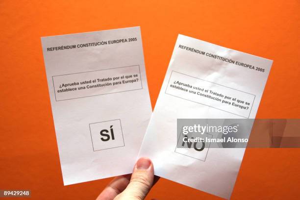 European Constitution referendum. Ballot paper