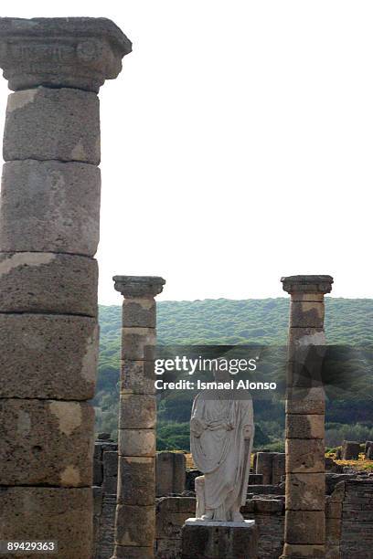 bolonia, cadiz (andalucia, spain). baelo claudia: archeological roman ruins. - bolonia stock-fotos und bilder