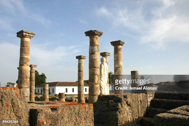 Bolonia, Cadiz . Baelo Claudia: Archeological roman ruins.