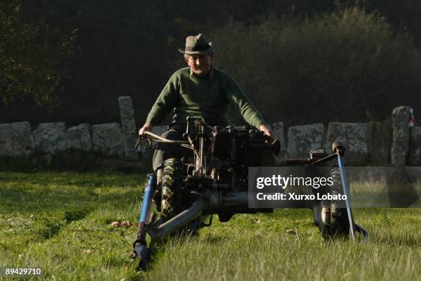 Galicia. Peasant cutting grass for the cattle in Lugar de Santa Isabel, Outeiro de Rei, Terra Cha, Lugo.