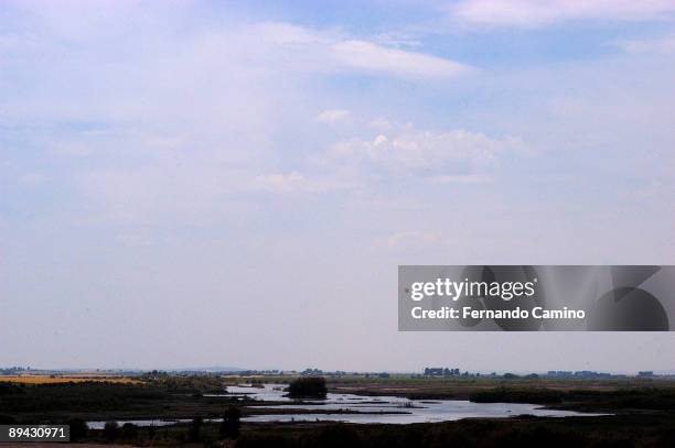 Ciudad Real, Castile La Mancha. Spain. Las Tablas de Daimiel National Park.