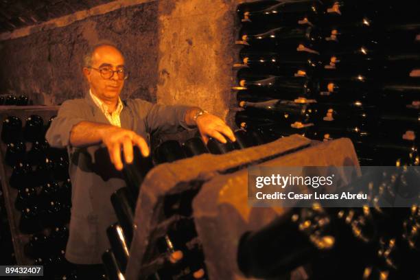 Sant Sadurni d´Anoia, Barcelona. Catalonia . Recaredo cellars. Moving the bottles.