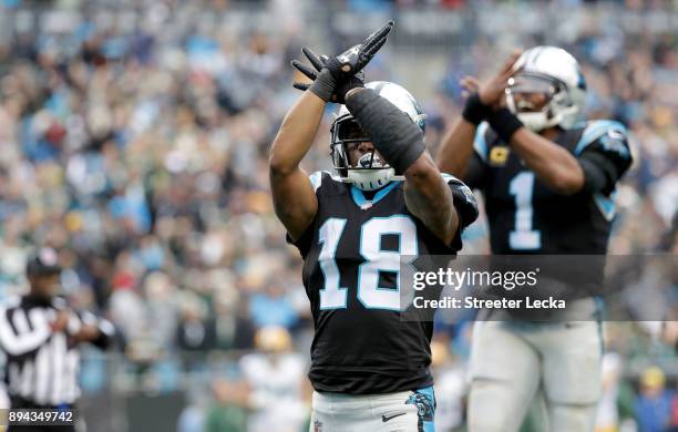 Damiere Byrd of the Carolina Panthers reacts after a touchdown catch against the Green Bay Packers in the third quarter during their game at Bank of...