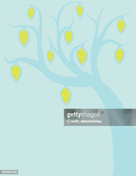 fruit tree - lychee stock illustrations