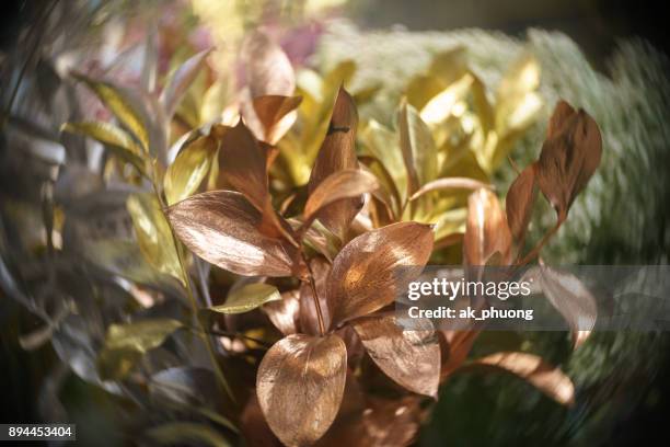 decoration golden leaves on art background - curd juergens stock pictures, royalty-free photos & images