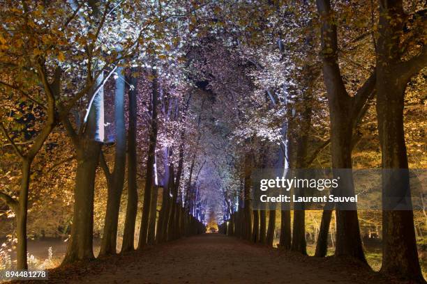 the path to the château de chenonceau surrounded by trees at night - laurent sauvel stock pictures, royalty-free photos & images